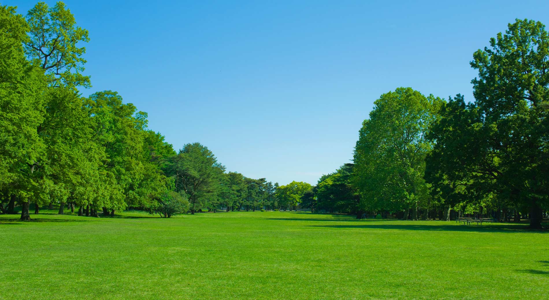 Commercial Garden Maintenance Services