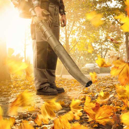 Leaf Clearing Service Available