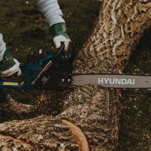 Tree care and removal